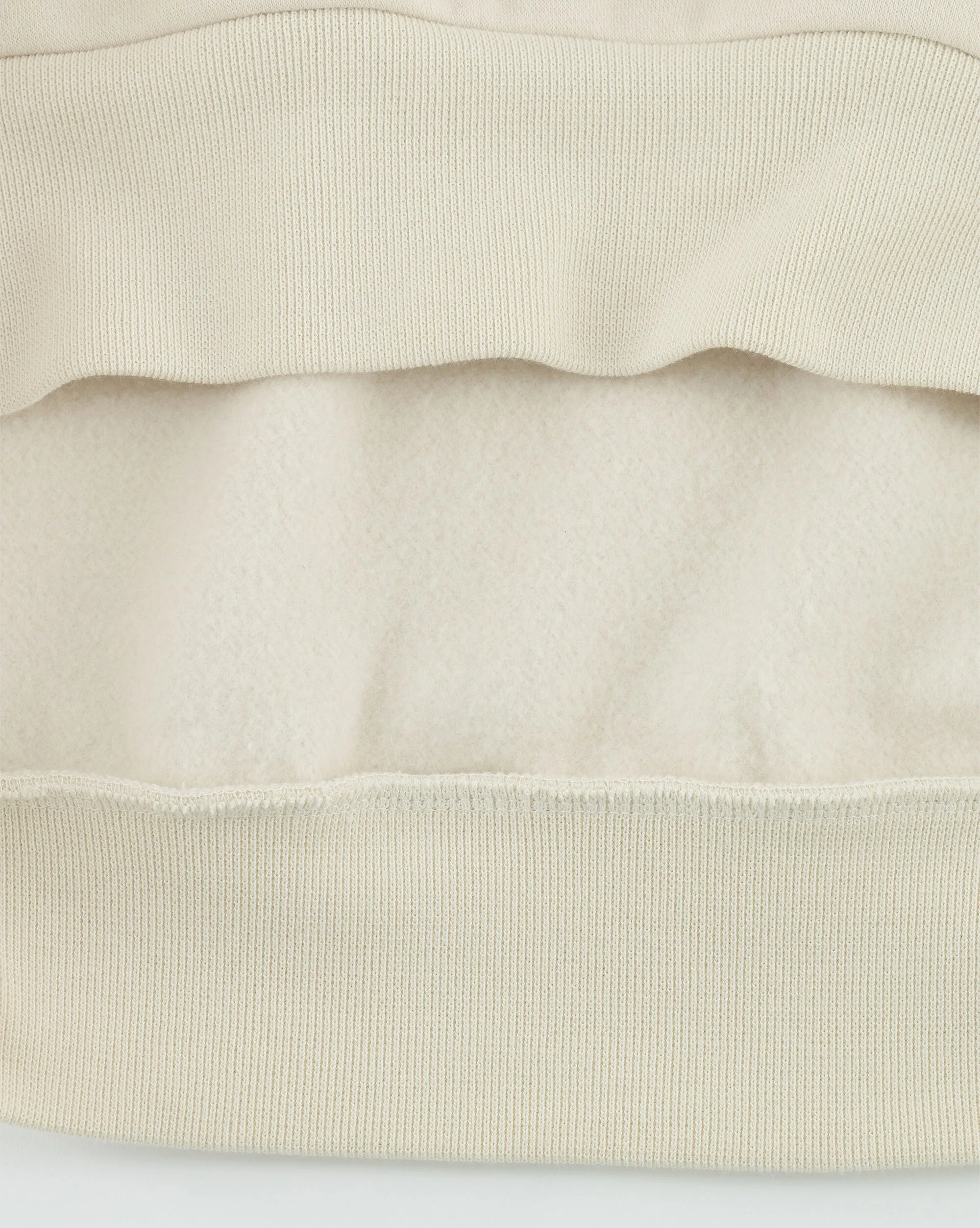 Champion Felpa Con Cappuccio Eco Future in Cotone Organico e Fleece Marrone Uomo